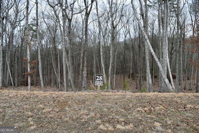 LOT 28 High Summit Dr, Home with 0 bedrooms, 0 bathrooms and null parking in Talking Rock GA | Image 8