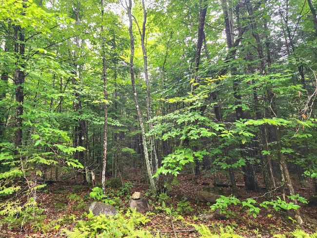 213 Bell Hill Rd, House other with 2 bedrooms, 1 bathrooms and null parking in Stark NH | Image 21