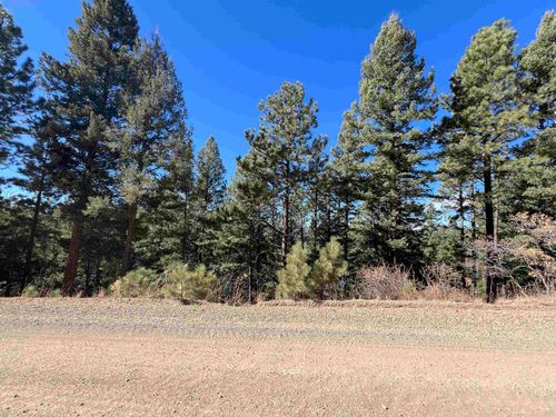Lot 156 Back Basin Rd, Angel Fire, NM, 87710-8016 | Card Image