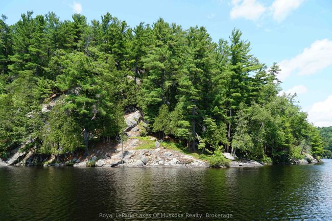 29 Thorburn Lane, Home with 0 bedrooms, 0 bathrooms and null parking in Huntsville ON | Image 11