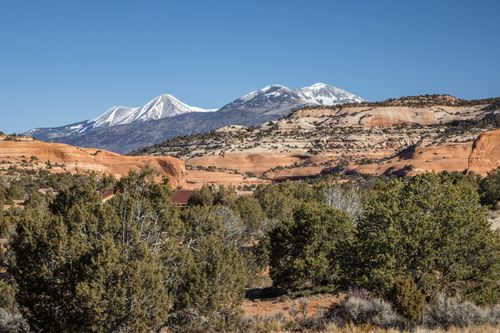 8-32 Austin Dr, Moab, UT, 84532 | Card Image