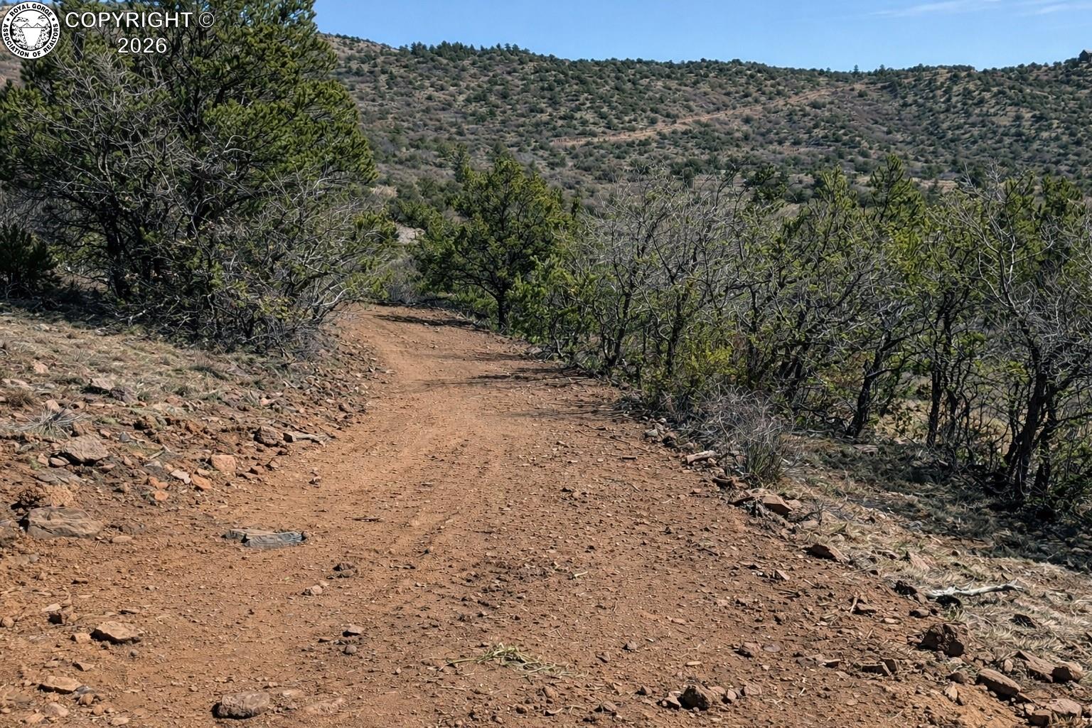 Land in Canon City 3