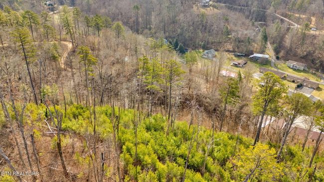 1205 Maples Manor Way, Home with 0 bedrooms, 0 bathrooms and null parking in GATLINBURG TN | Image 26
