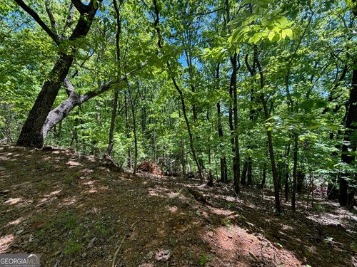11-0 Lookout Ridge Rd, Cleveland, GA, 30528 | Card Image