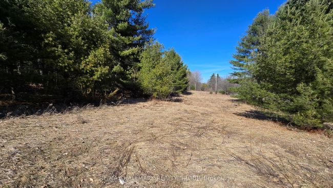 0000 Calabogie Rd, Home with 0 bedrooms, 0 bathrooms and null parking in Burnstown ON | Image 7