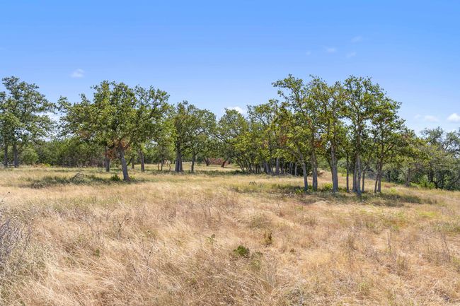 TRACT 12 Lew Dele Lane, Home with 0 bedrooms, 0 bathrooms and null parking in Blanco TX | Image 10