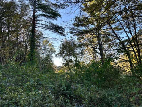 5 Prospect Mountain Rd, Salisbury, CT, 06068-1622 | Card Image