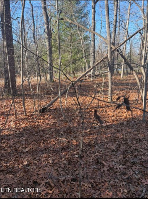 402 Acoma Dr, Crossville, TN, 38572 | Card Image