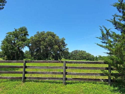 Lot 13 Nw 154th Avenue Rd, Morriston, FL, 32668 | Card Image