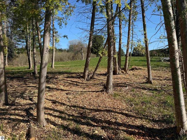 000 Clam Lake Dr, Home with 0 bedrooms, 0 bathrooms and null parking in Bellaire MI | Image 5