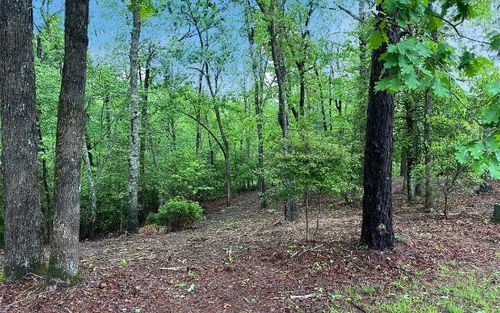 LOT 7 Brasstown Trails, Brasstown, NC, 28909 | Card Image