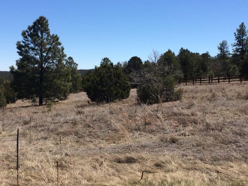 10 Woodland Ct, Tijeras, NM, 87059 | Card Image