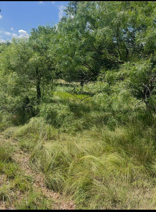 Lot 821 Oak Point Dr, May, TX, 76857 | Card Image