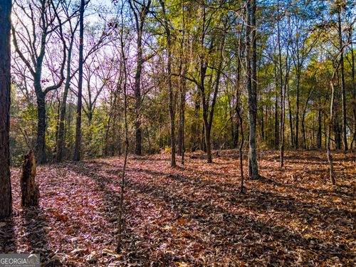 0 Roberta Highway, Butler, GA, 31006 | Card Image