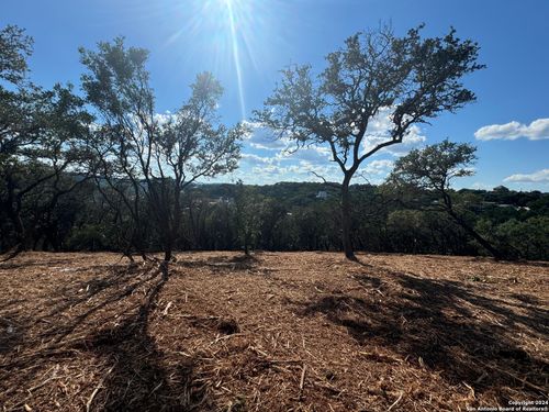 1750 Skyline Dr, Canyon Lake, TX, 78133-4723 | Card Image