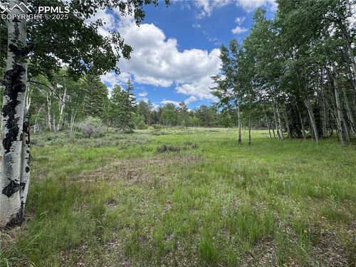 117 Vagabond Creek Ter, Lake George, CO, 80827-9039 | Card Image