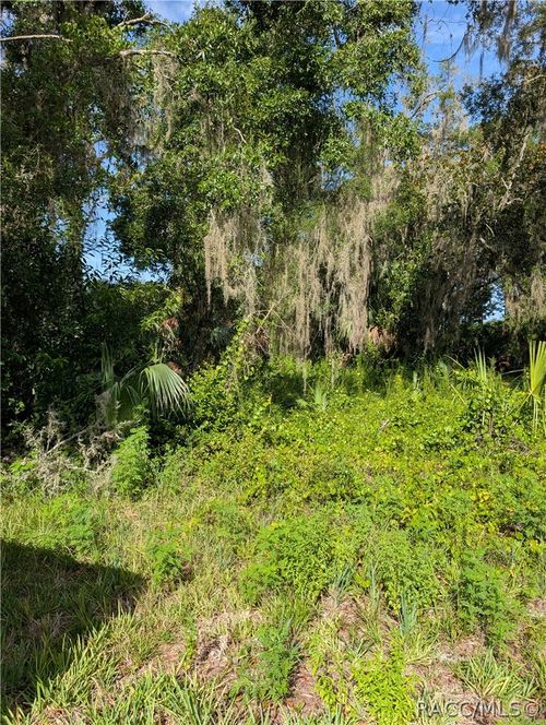6650 N Beechnut Loop, HERNANDO, FL, 34442-3808 | Card Image