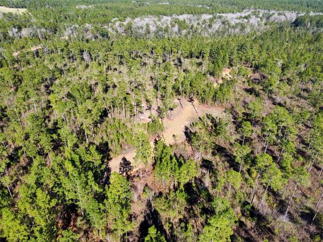 0 Robert White Rd, Home with 0 bedrooms, 0 bathrooms and null parking in Bay Minette AL | Image 12