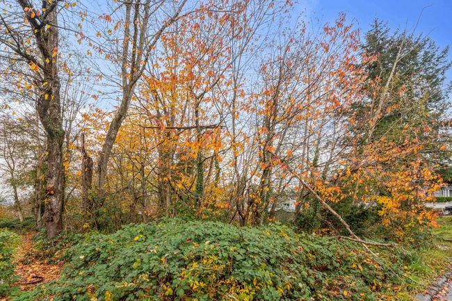 11961 97 A Ave, House other with 5 bedrooms, 3 bathrooms and 6 parking in Surrey BC | Image 7