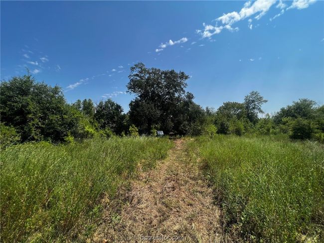 30 Fm 1486, Home with 0 bedrooms, 0 bathrooms and null parking in Richards TX | Image 5