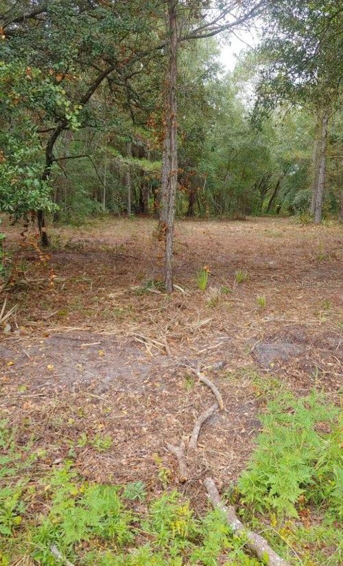 0 Ne 148th Terrace Rd, Fort Mc Coy, FL, 32134 | Card Image