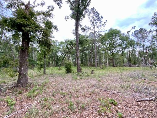 Vacant Ne Bellville Road, Pinetta, FL, 32350 | Card Image