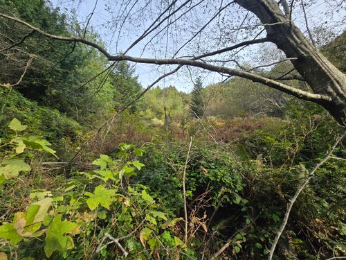 00 & 000 Wolverine Way, Whitethorn, CA, 95589 | Card Image