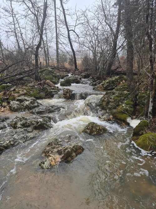 Hcr 69 Hc 69, Oldfield, MO, 65720-9606 | Card Image