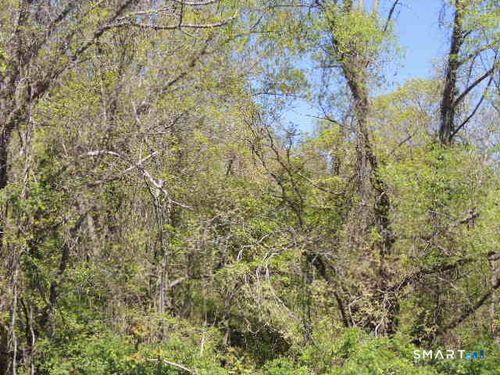 47, 47R, 63, 65R Coleman Street, West Haven, CT, 06516 | Card Image