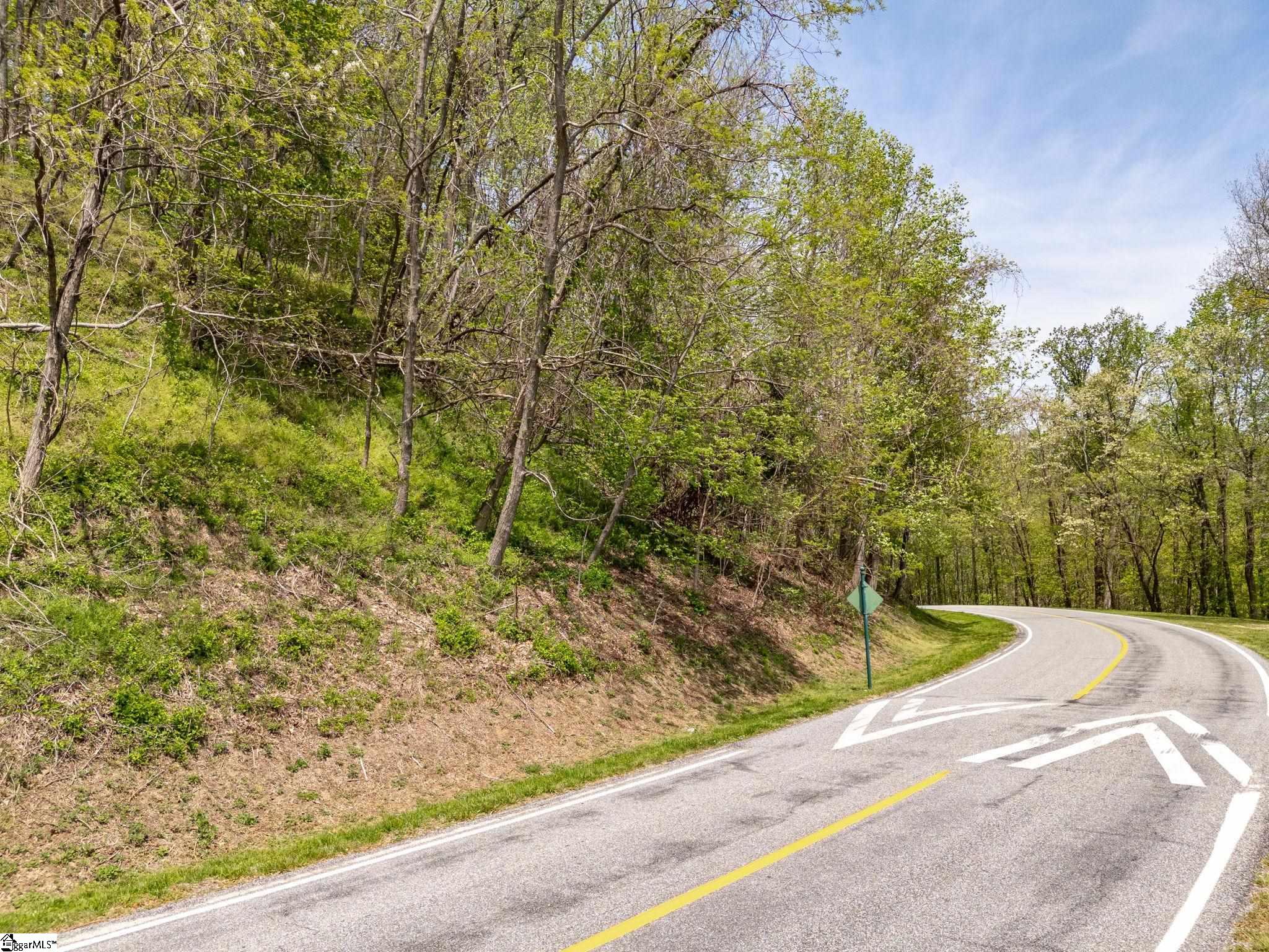 Land in Landrum 5