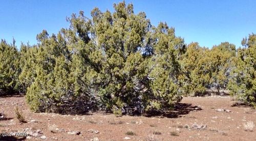 84 County Road 3133 N, Vernon, AZ, 85940 | Card Image