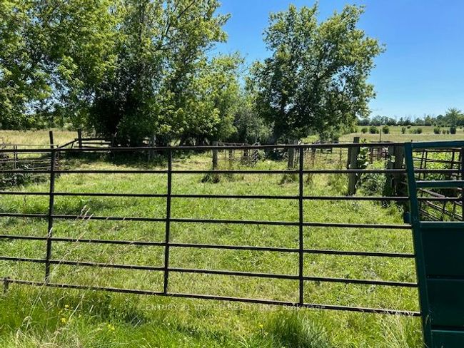 221 County Rd 2, Home with 0 bedrooms, 0 bathrooms and 4 parking in Bailieboro ON | Image 5