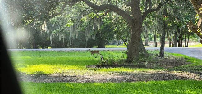 1055 County Road 452, House other with 4 bedrooms, 2 bathrooms and null parking in Sweeny TX | Image 23