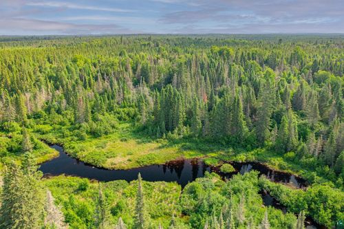 8364 E General Grade Rd, Finland, MN, 55603 | Card Image