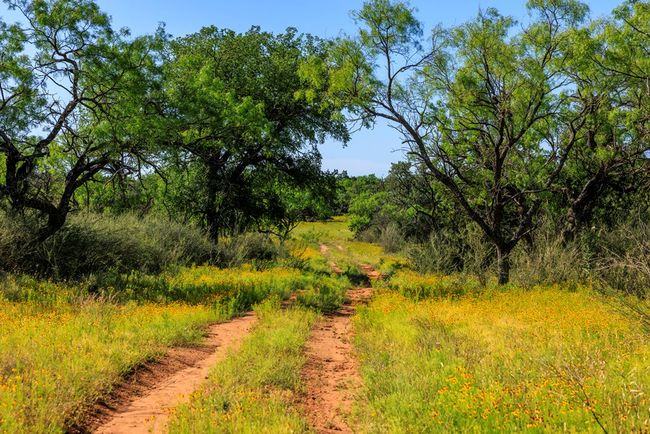 2199 Langes Mill Rd, Home with 0 bedrooms, 0 bathrooms and null parking in Doss TX | Image 29