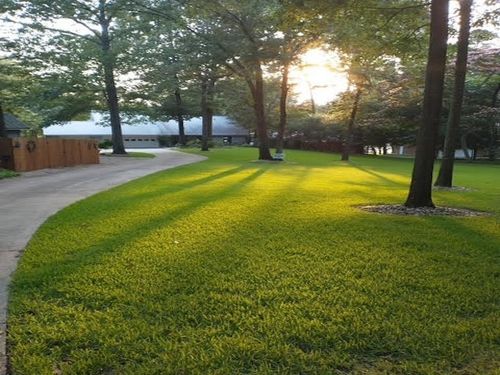 190 County Road 2452, Leesburg, TX, 75451-2296 | Card Image