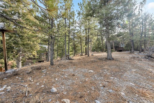 2194 Via Spes Nostra St, Home with 0 bedrooms, 0 bathrooms and null parking in Mount Charleston NV | Image 19