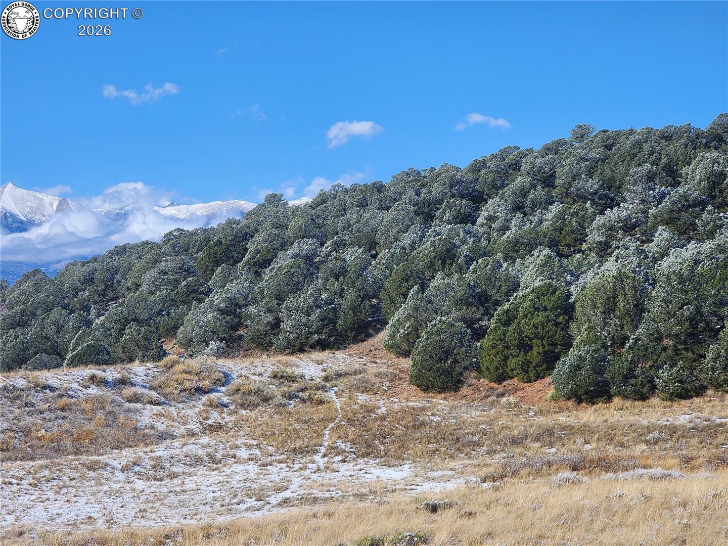 Land in Westcliffe 3