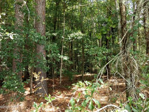 Lot 29 Beech Dr, Westville, FL, 32464 | Card Image