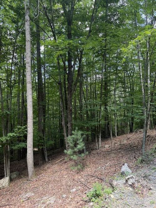 141 Sassafrass Road, Beech Mountain, NC, 28604 | Card Image