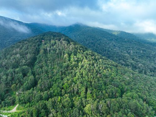 000 Sylvan Way, Roan Mountain, TN, 37687 | Card Image