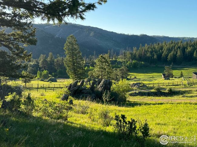 9200 Old Flowers Rd, House other with 4 bedrooms, 6 bathrooms and null parking in Bellvue CO | Image 6