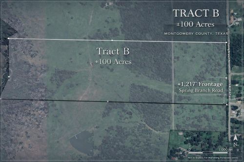 100 ACRES Spring Branch Rd, Montgomery, TX, 77316 | Card Image