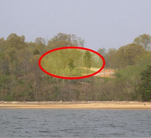 383 Thiefneck View Dr, Rockwood, TN, 37854 | Card Image