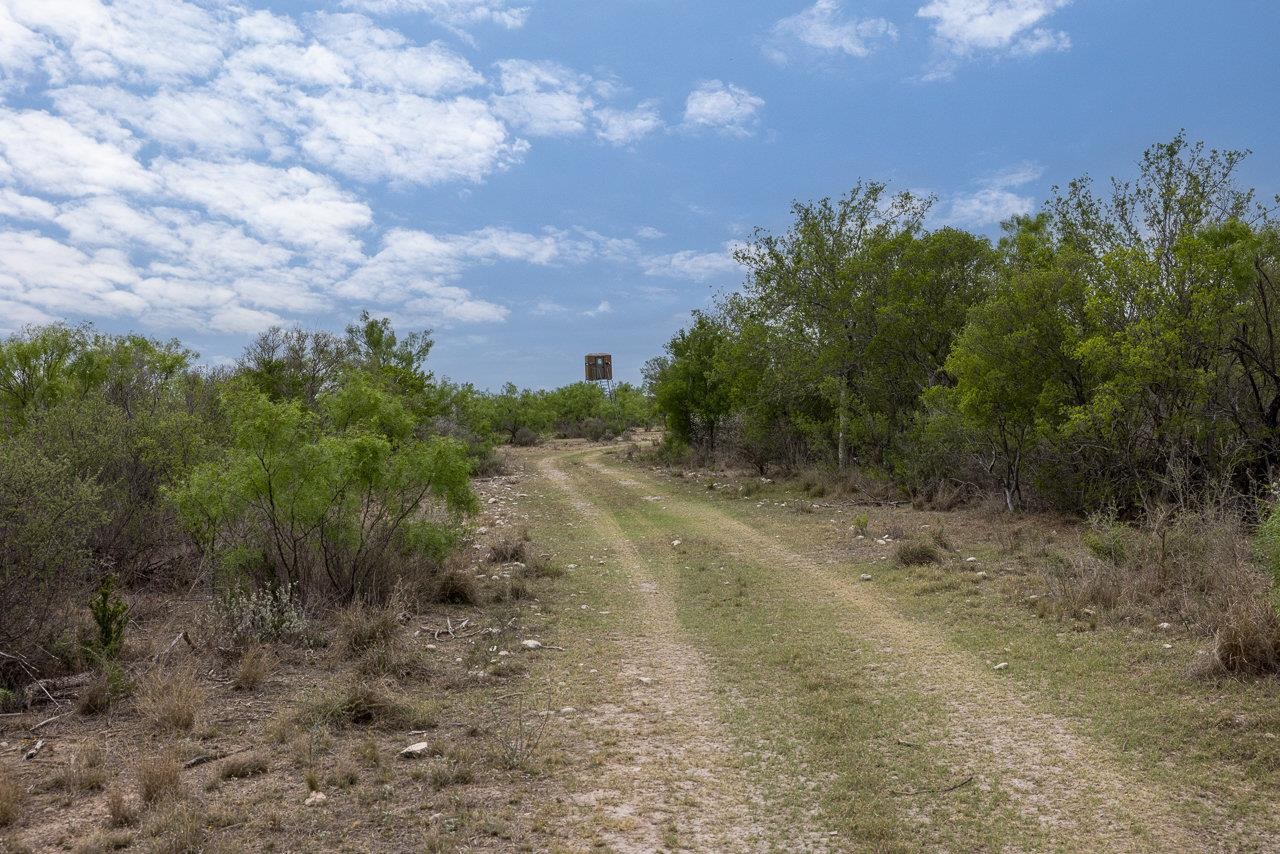 Land in Del Rio 5
