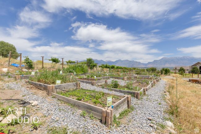 Community garden | Image 29