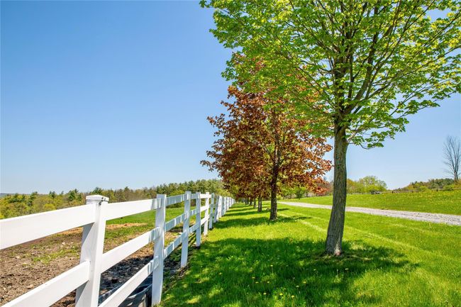 View of yard with a view of rural / pastoral area | Image 38