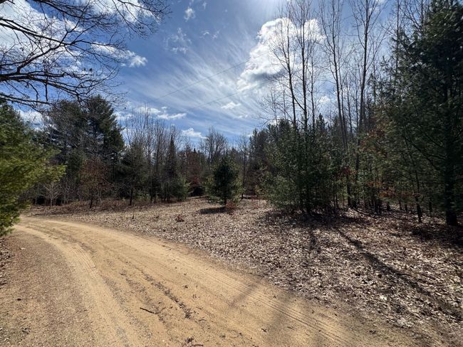 4233 Hardacre Trl, Home with 0 bedrooms, 0 bathrooms and null parking in Houghton Lake MI | Image 38