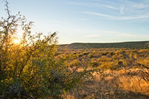 3-0 E Calle Rosa Linda, Tucson, AZ, 85739 | Card Image