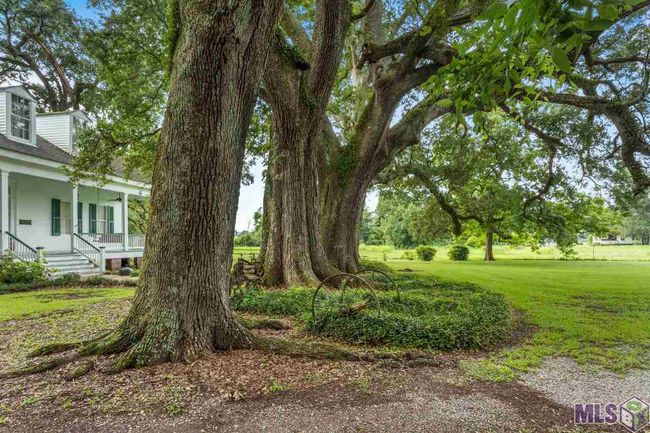 10515 Highway 411, House other with 4 bedrooms, 3 bathrooms and 4 parking in Maringouin LA | Image 6